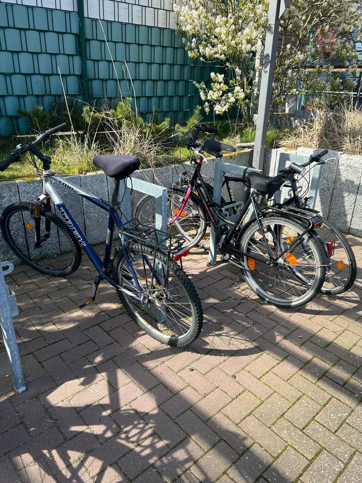 Vergessene Fahrräder im Hafen