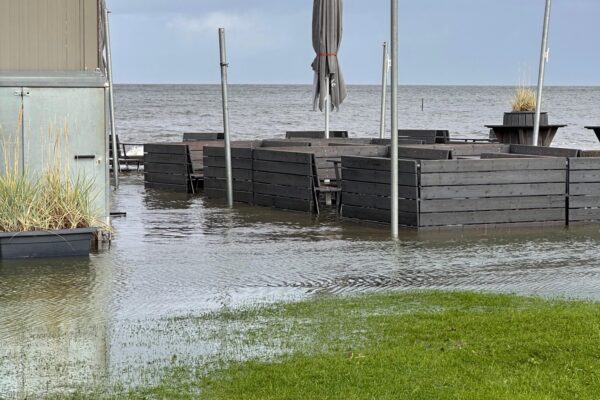 Bucht 7
