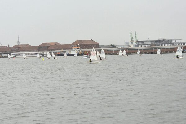 Eisbärenregatta 2025 2