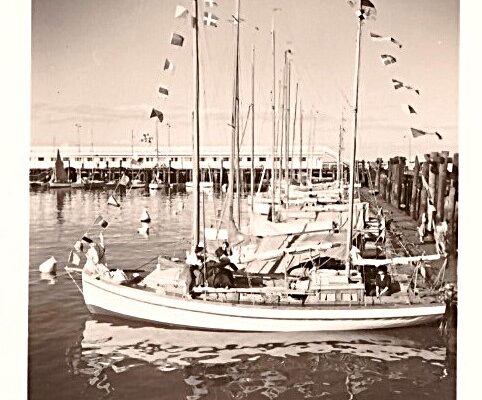 Hugo Rose Foto Folker Weiss 3