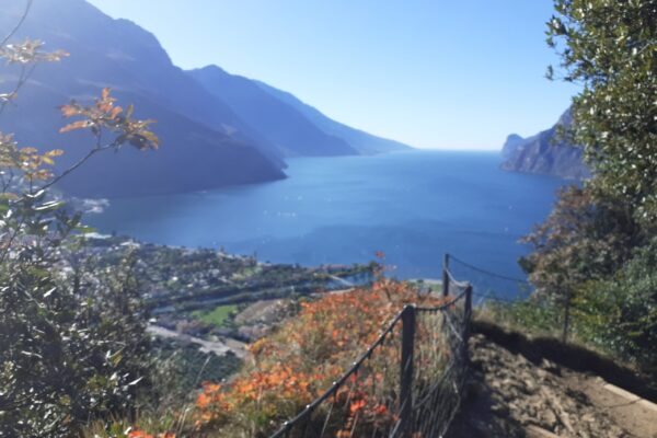 Impressionen Gardasee 2025 12